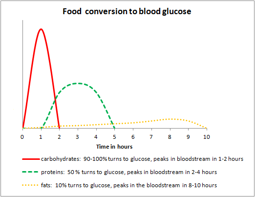 food-conversion-to-blood-glucose